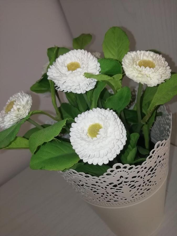 Suite Roma 체팔루 외부 사진